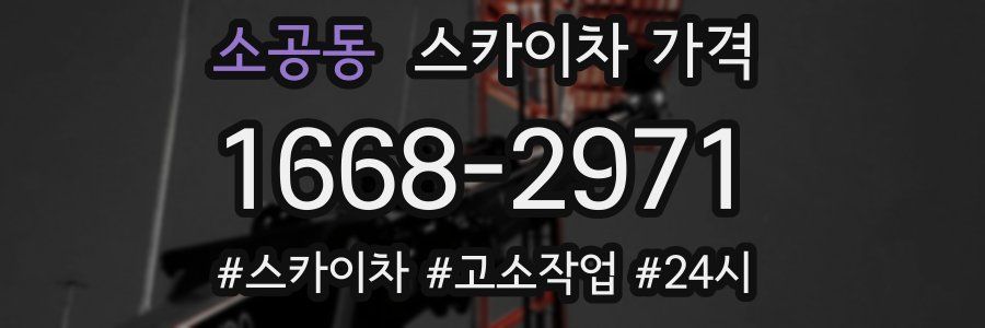 소공동 스카이차 가격