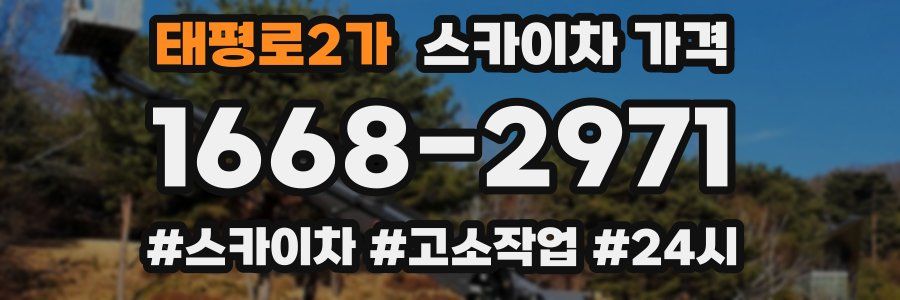 태평로2가 스카이차 가격