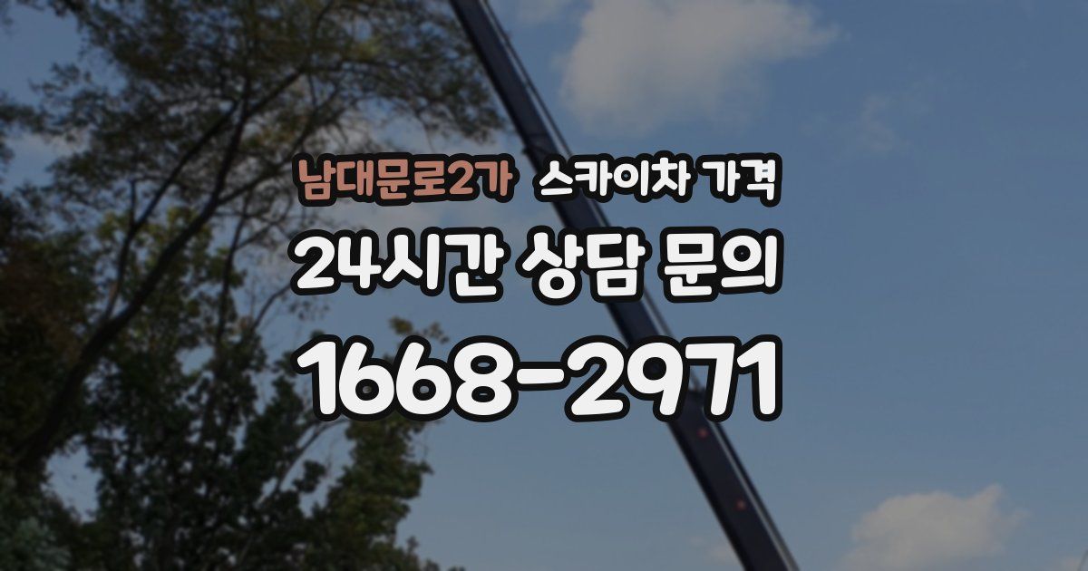 남대문로2가 스카이차 가격