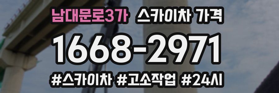 남대문로3가 스카이차 가격