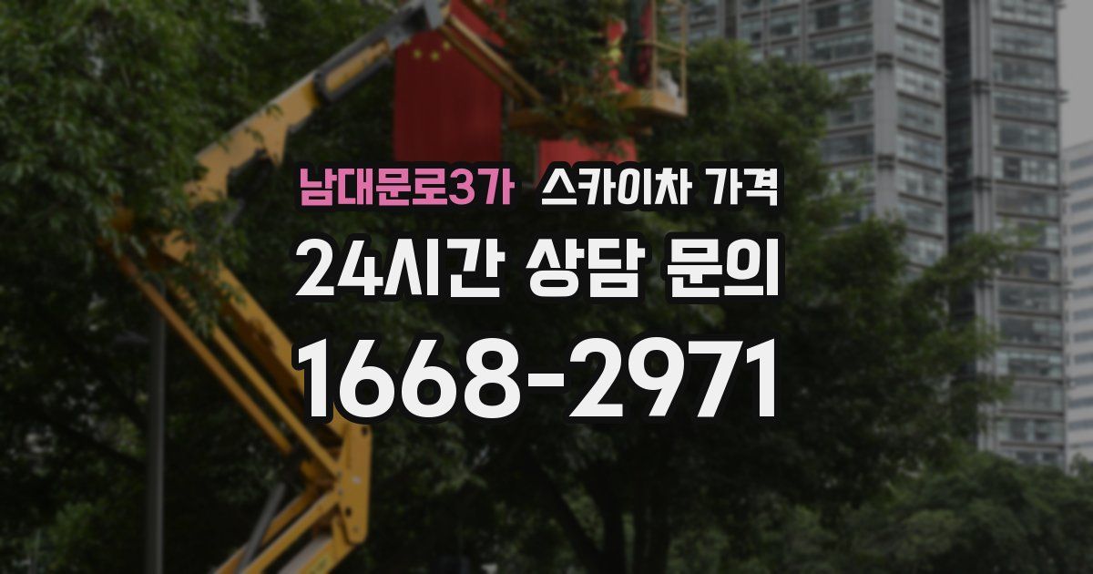 남대문로3가 스카이차 가격