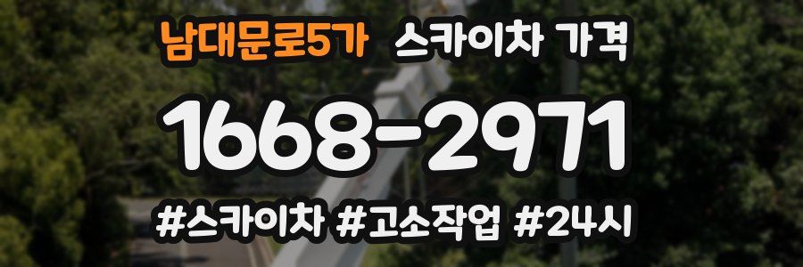 남대문로5가 스카이차 가격