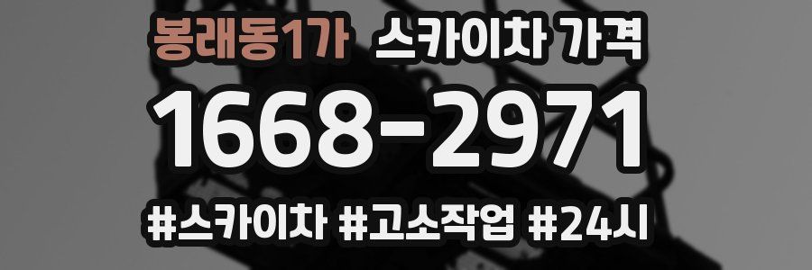 봉래동1가 스카이차 가격