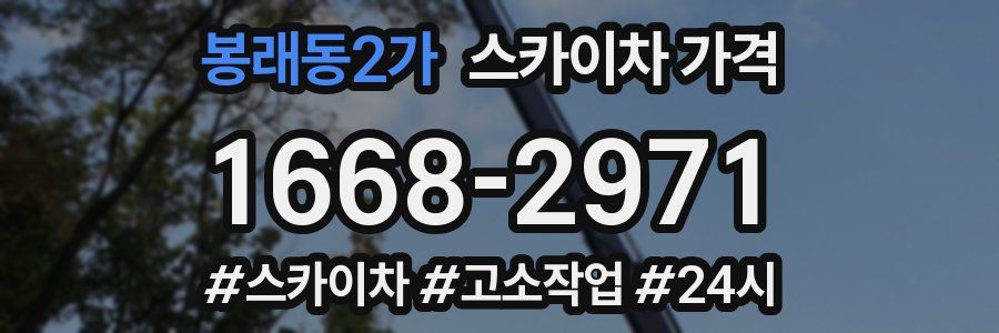 봉래동2가 스카이차 가격