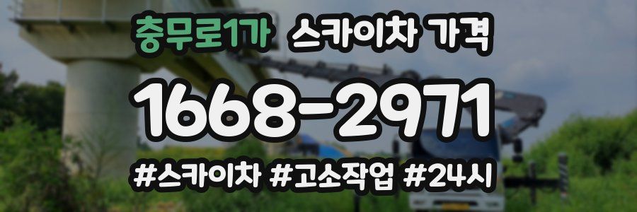 충무로1가 스카이차 가격