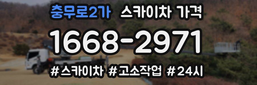 충무로2가 스카이차 가격