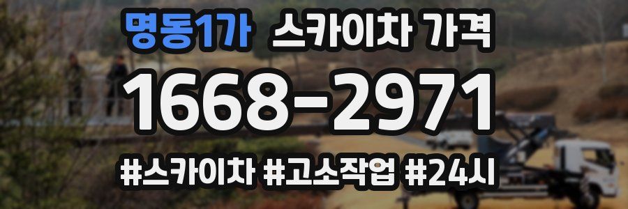 명동1가 스카이차 가격