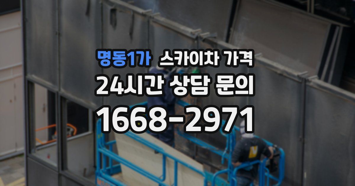 명동1가 스카이차 가격