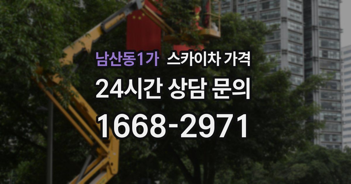 남산동1가 스카이차 가격