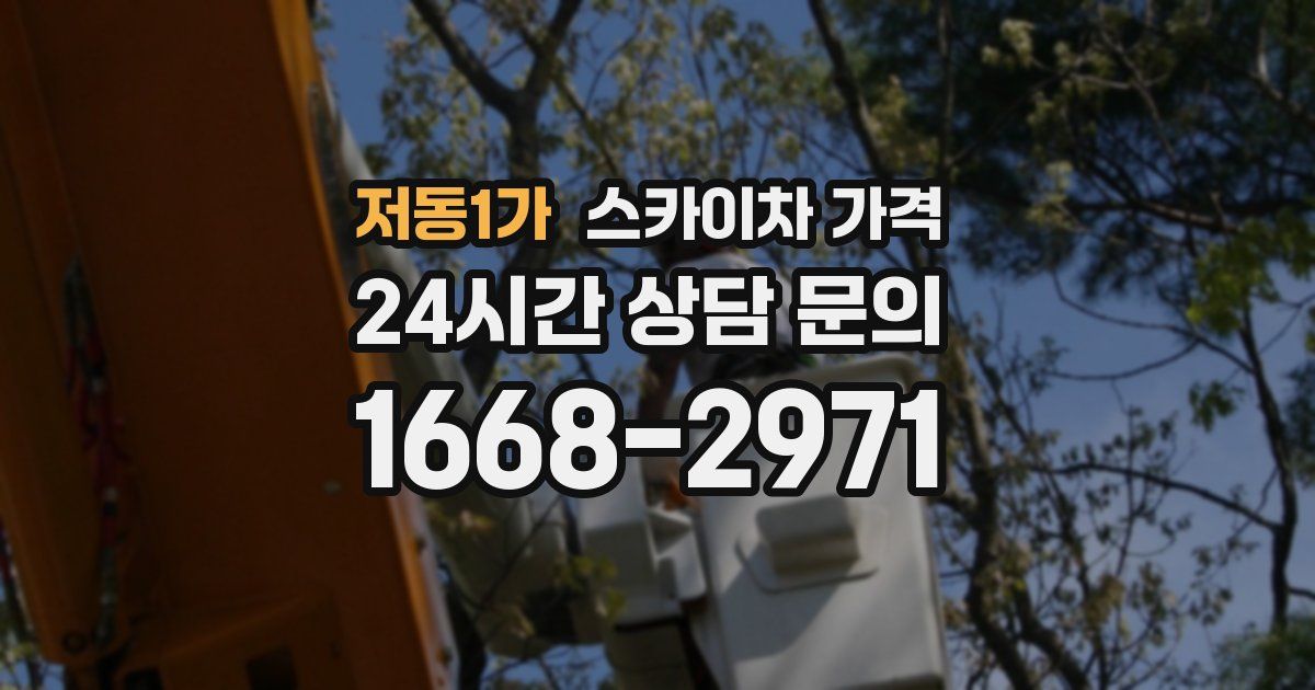 저동1가 스카이차 가격