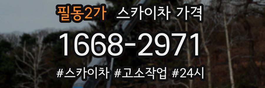 필동2가 스카이차 가격