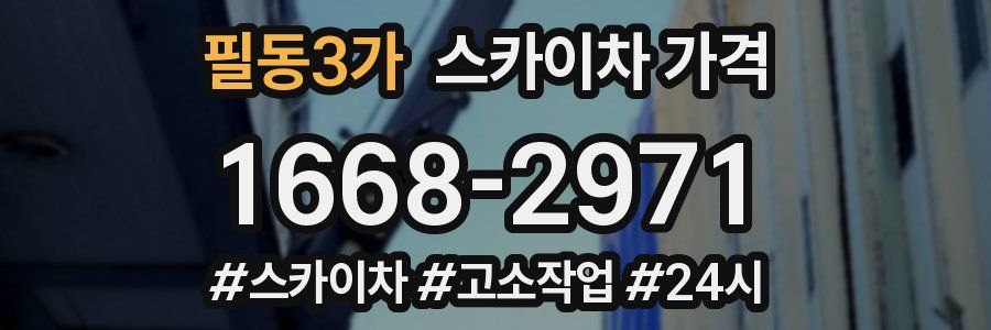 필동3가 스카이차 가격