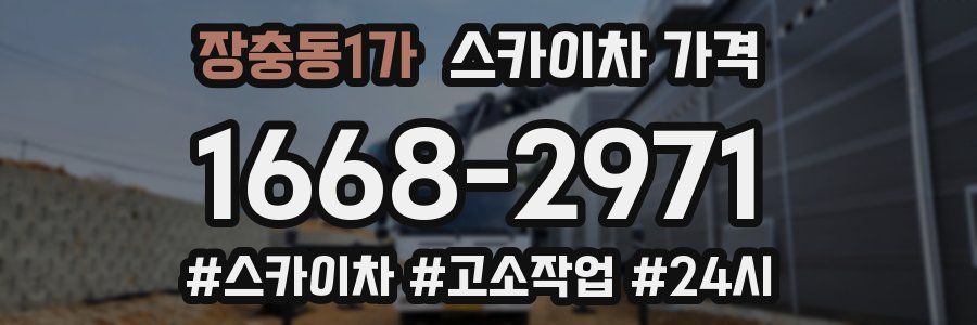 장충동1가 스카이차 가격