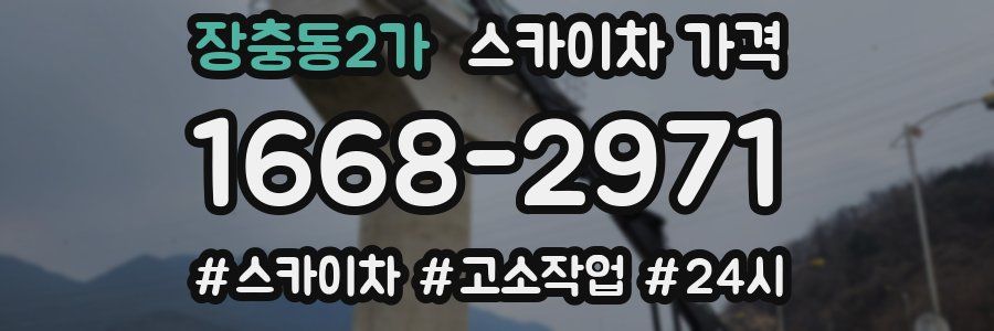 장충동2가 스카이차 가격
