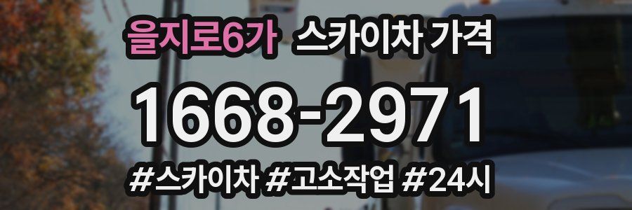 을지로6가 스카이차 가격