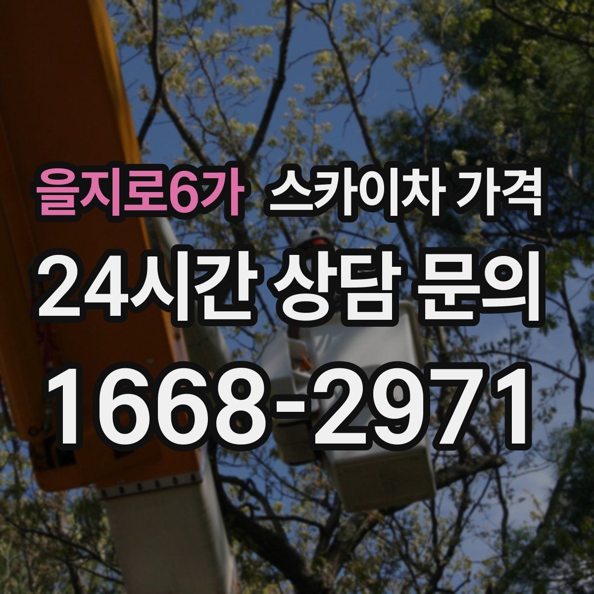 을지로6가 스카이차 가격