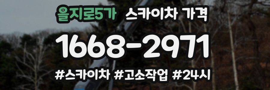 을지로5가 스카이차 가격