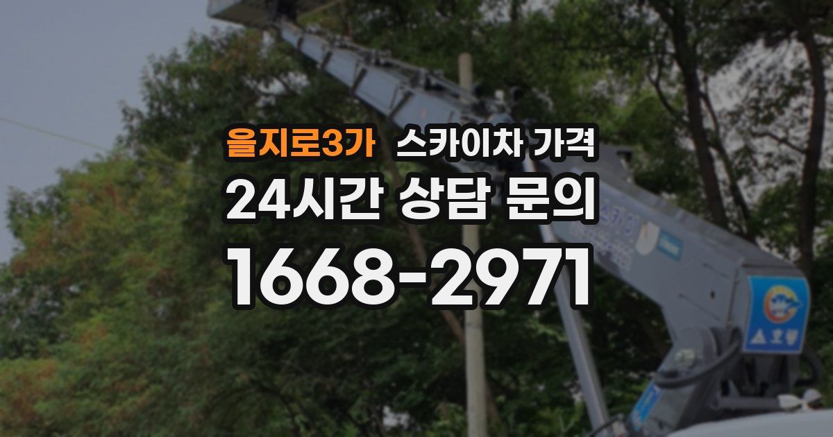 을지로3가 스카이차 가격