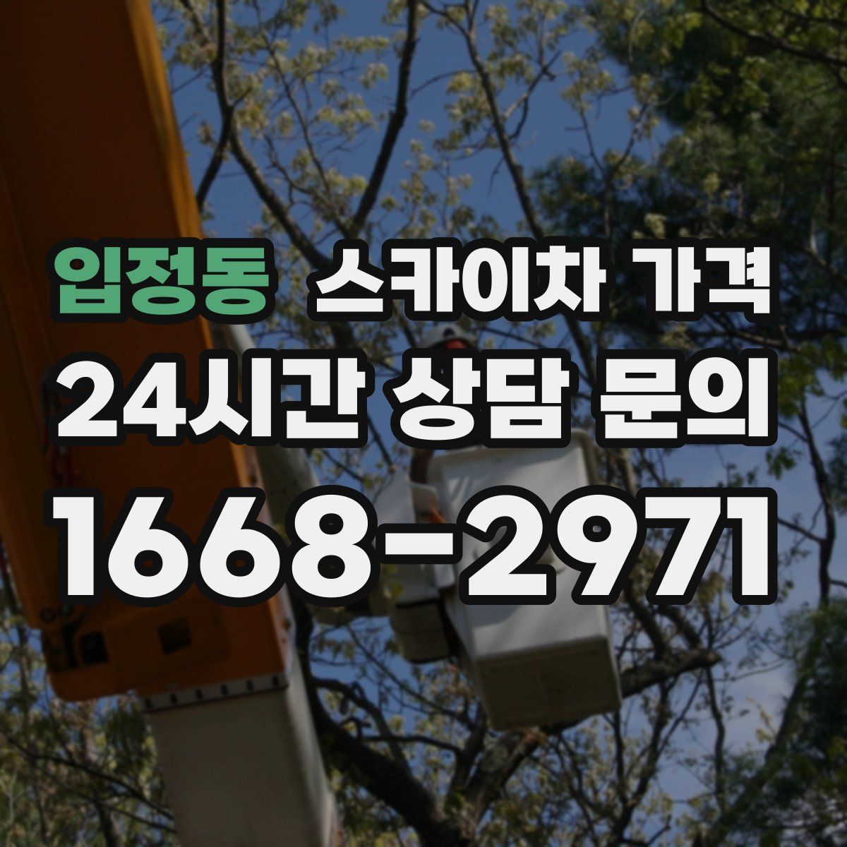 입정동 스카이차 가격