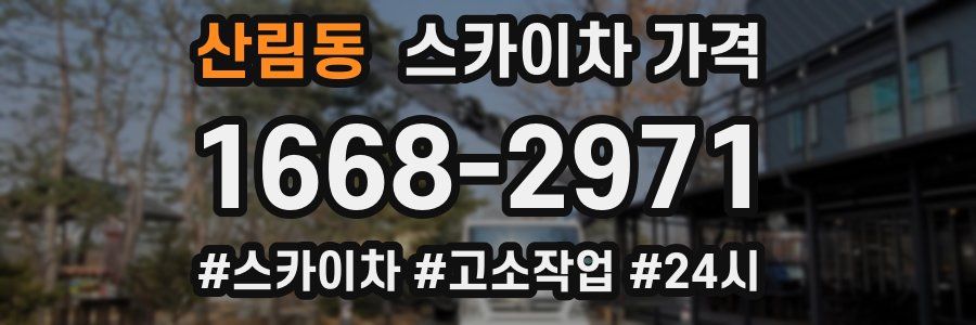 산림동 스카이차 가격