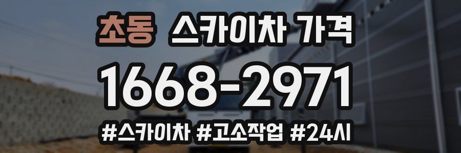 초동 스카이차 가격