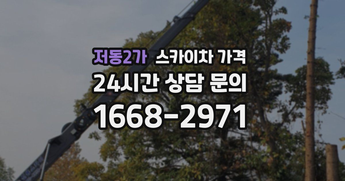 저동2가 스카이차 가격