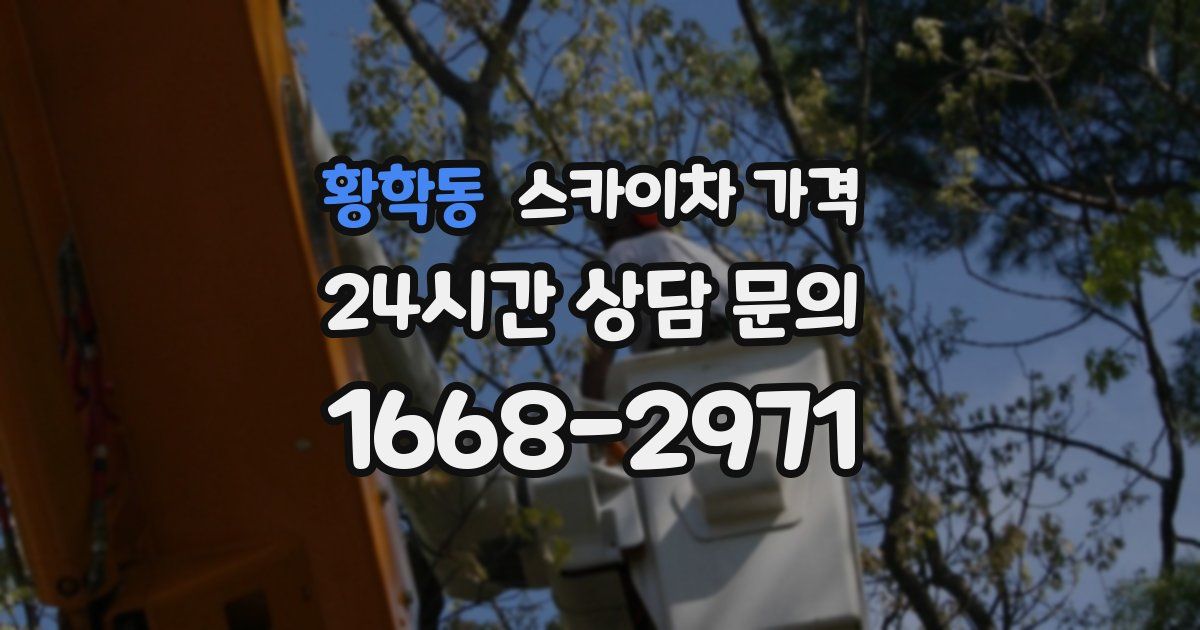 황학동 스카이차 가격