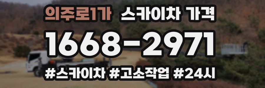 의주로1가 스카이차 가격