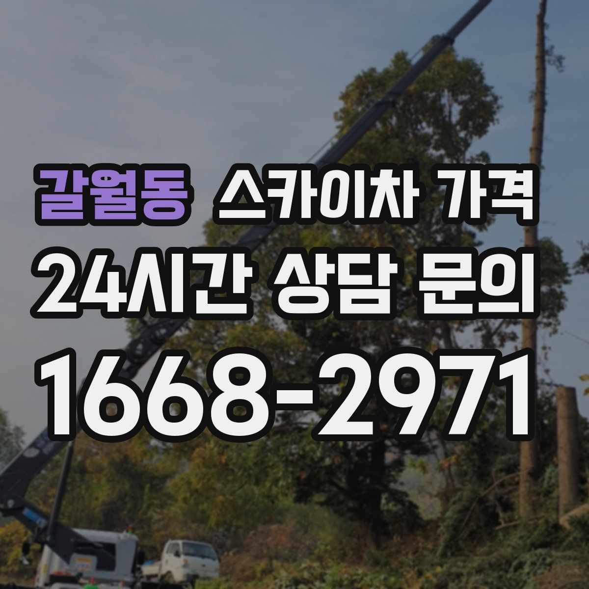 갈월동 스카이차 가격