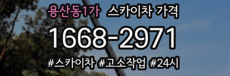 용산동1가 스카이차 가격