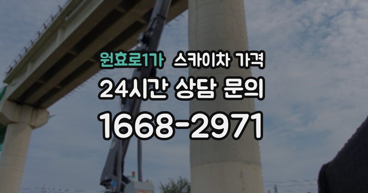원효로1가 스카이차 가격