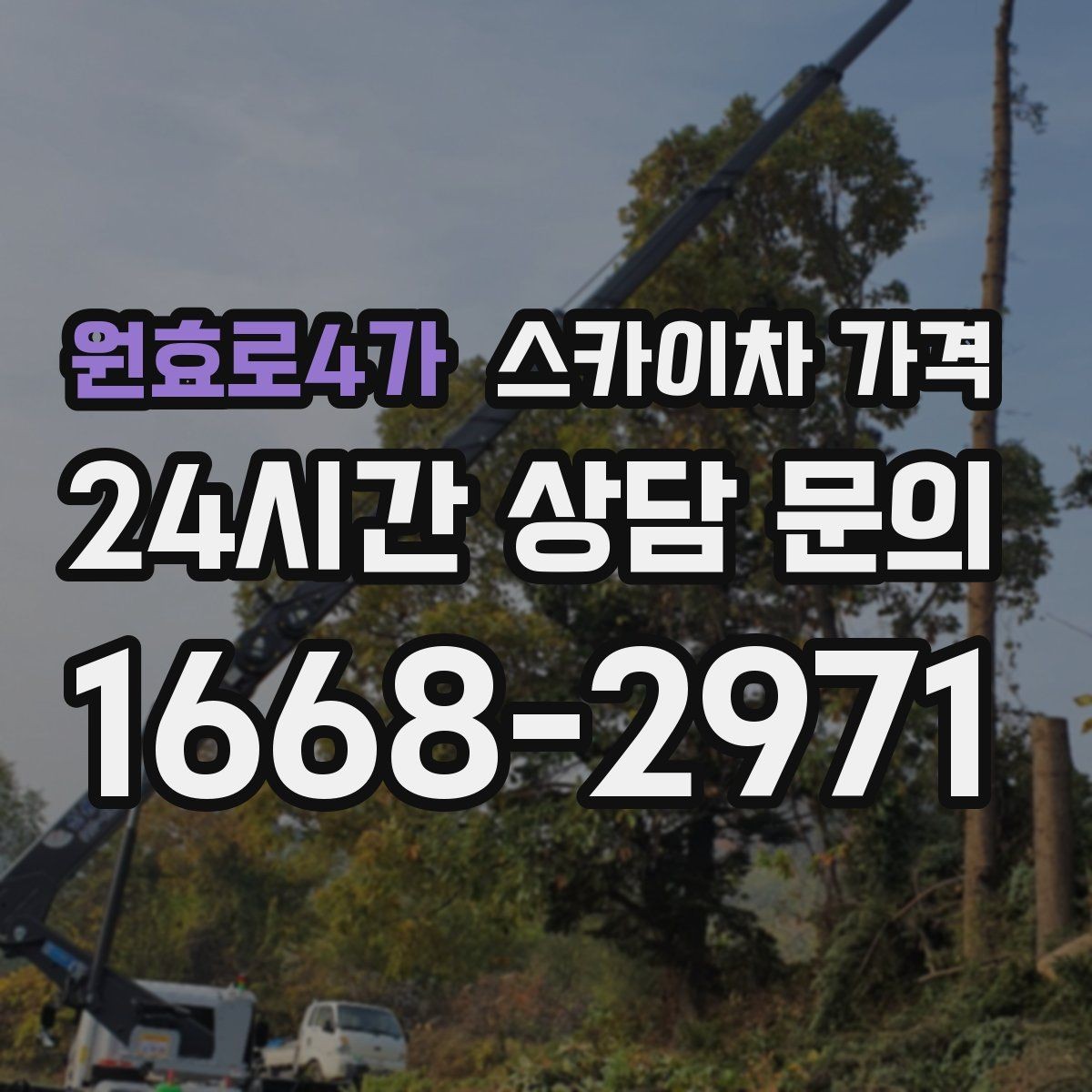 원효로4가 스카이차 가격 강풍 예보가 있을 때 일정 조정이 필요한 이유