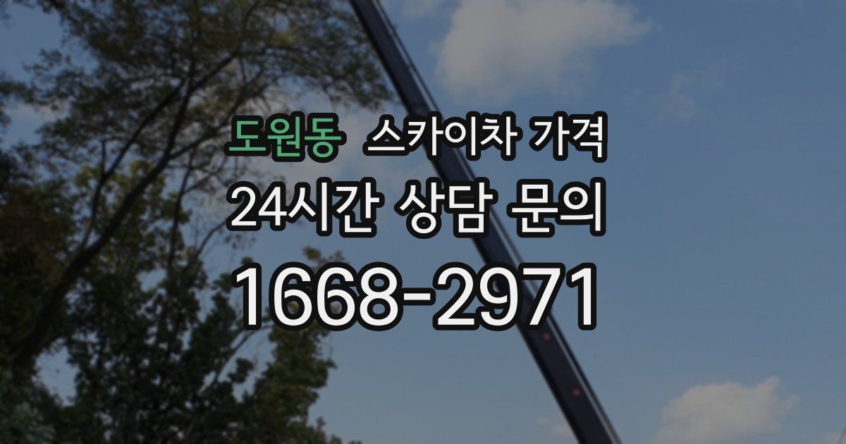 도원동 스카이차 가격