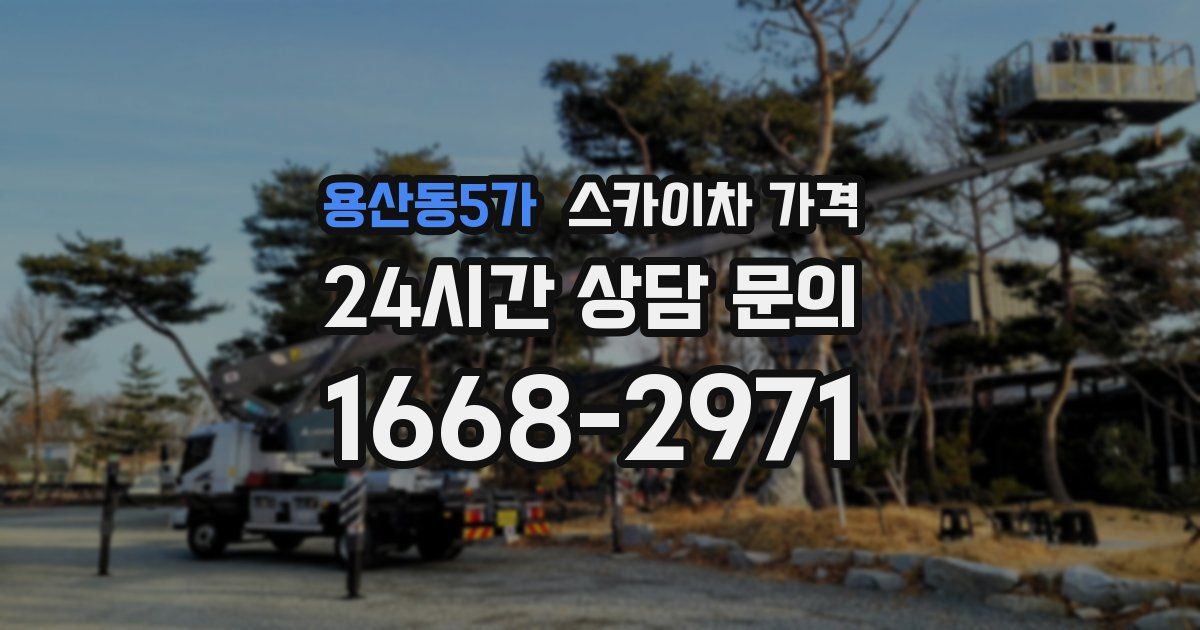용산동5가 스카이차 가격