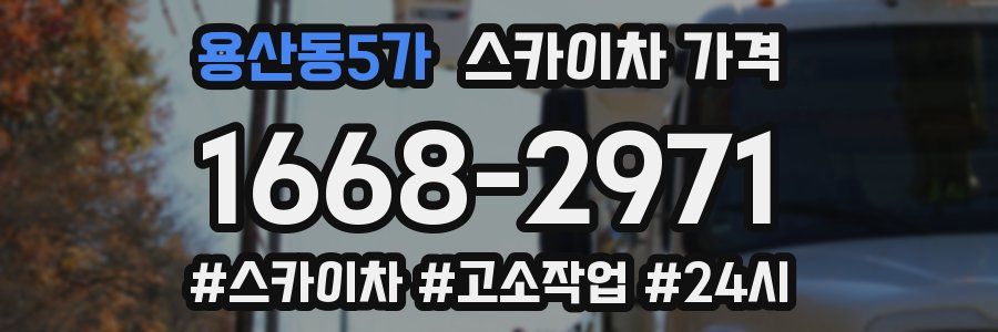 용산동5가 스카이차 가격