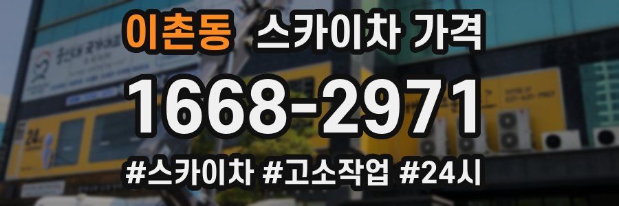 이촌동 스카이차 가격