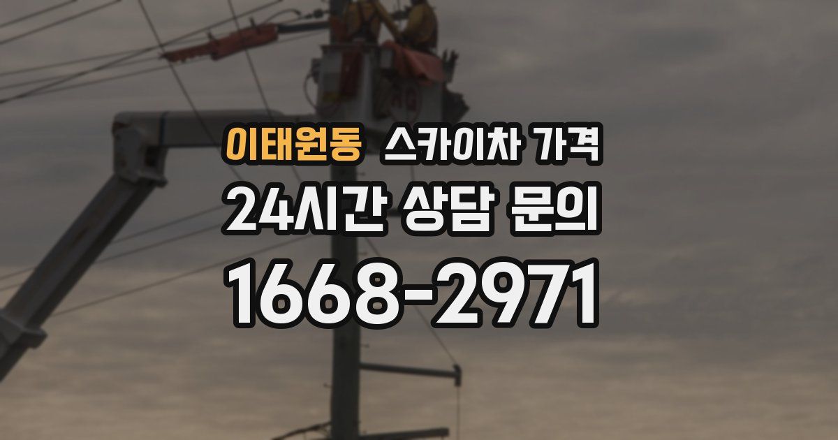 이태원동 스카이차 가격