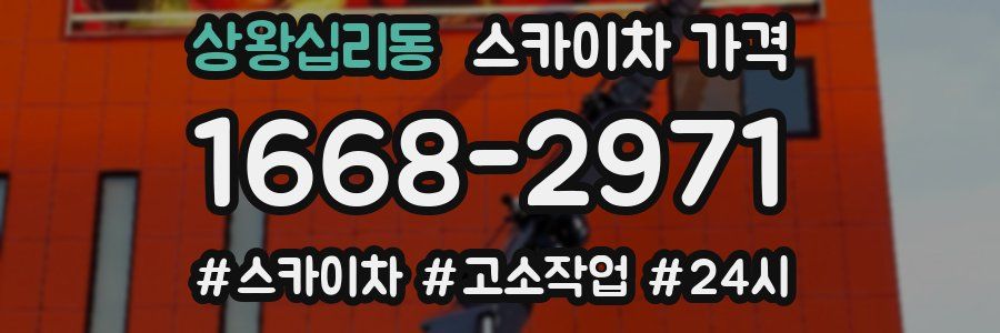 상왕십리동 스카이차 가격