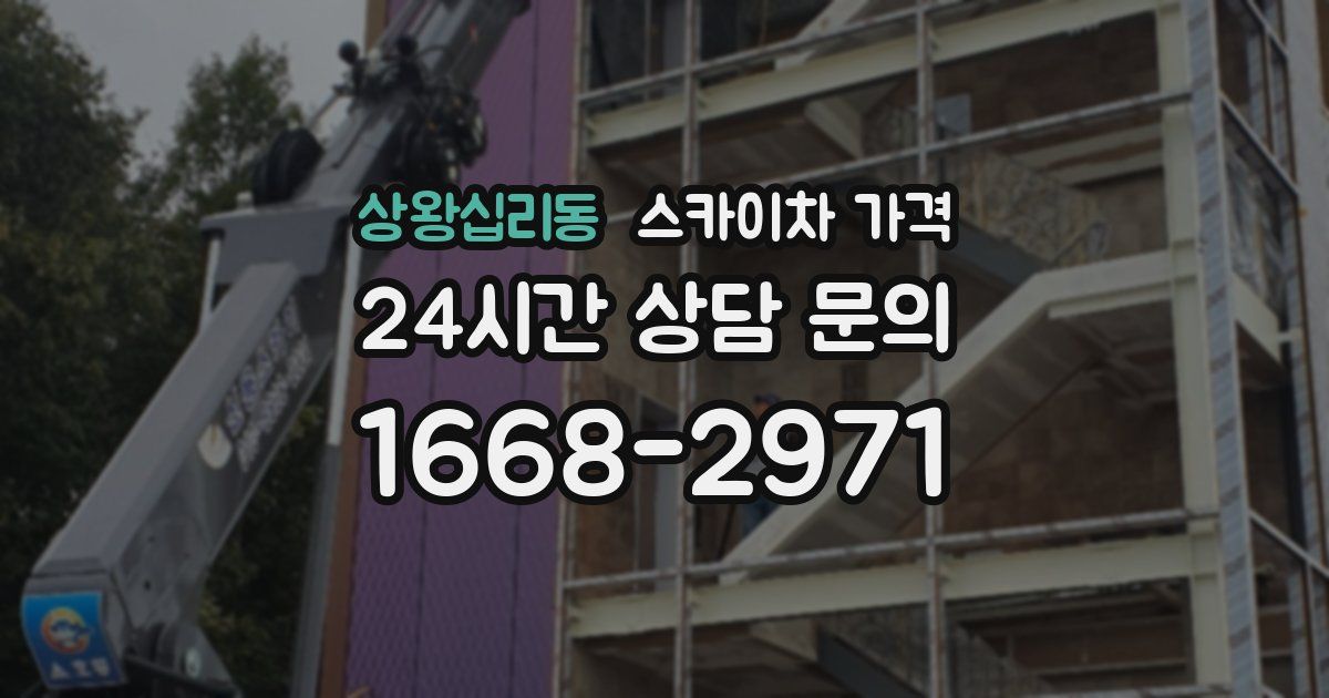 상왕십리동 스카이차 가격