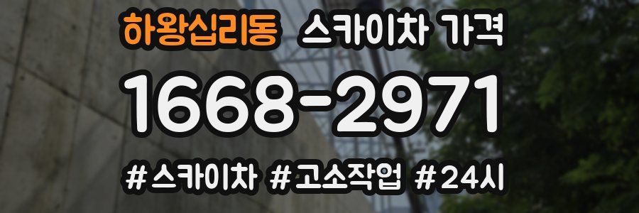 하왕십리동 스카이차 가격