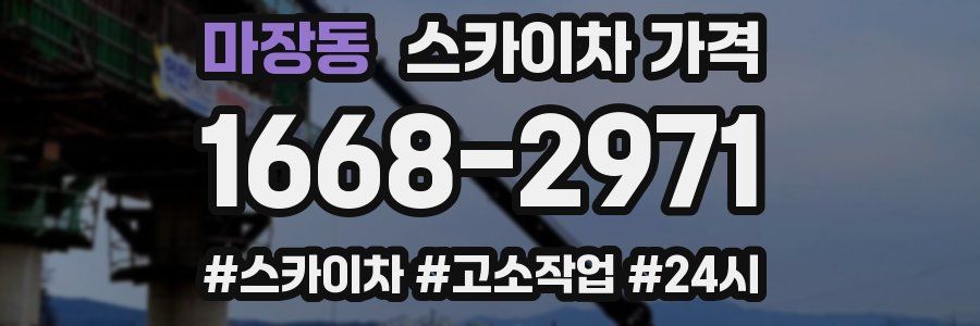 마장동 스카이차 가격