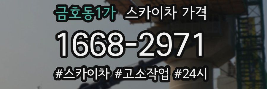 금호동1가 스카이차 가격