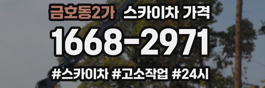 금호동2가 스카이차 가격