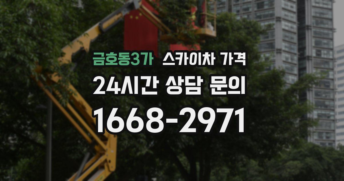 금호동3가 스카이차 가격