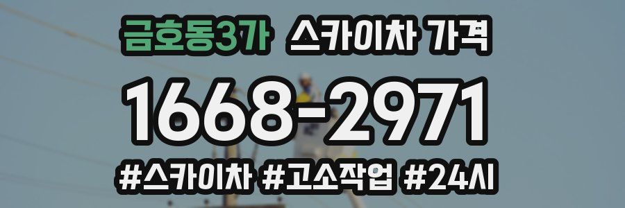 금호동3가 스카이차 가격