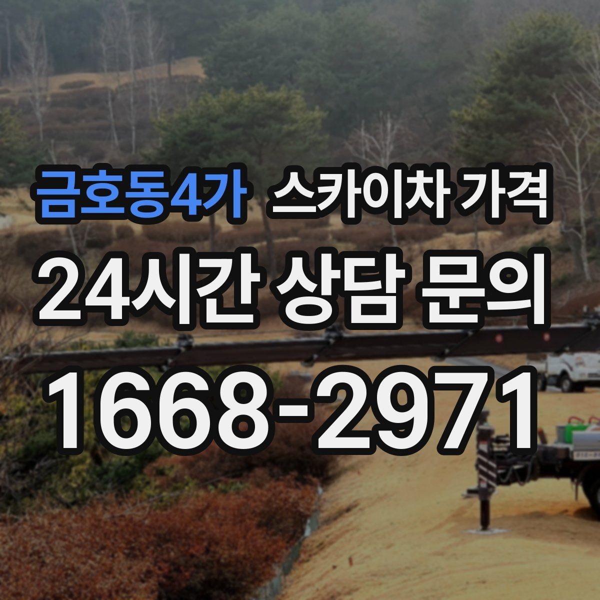 금호동4가 스카이차 가격 크리스마스 조명 설치는 무엇이 변수가 될까