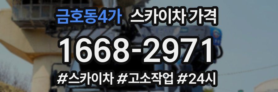 금호동4가 스카이차 가격