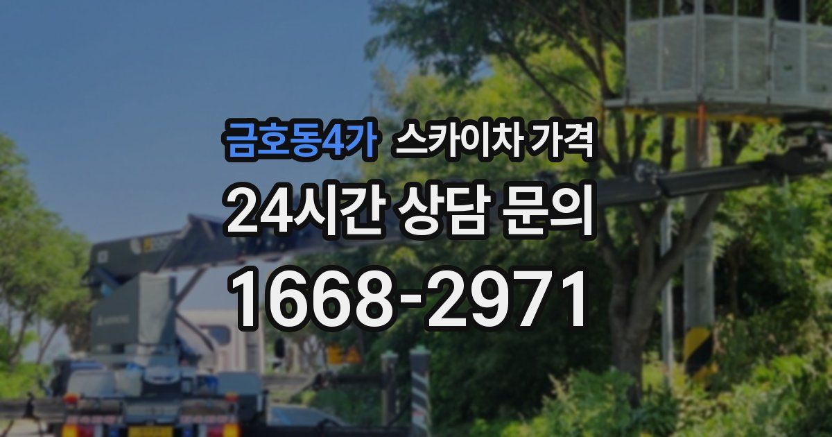 금호동4가 스카이차 가격