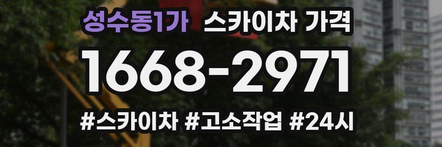 성수동1가 스카이차 가격