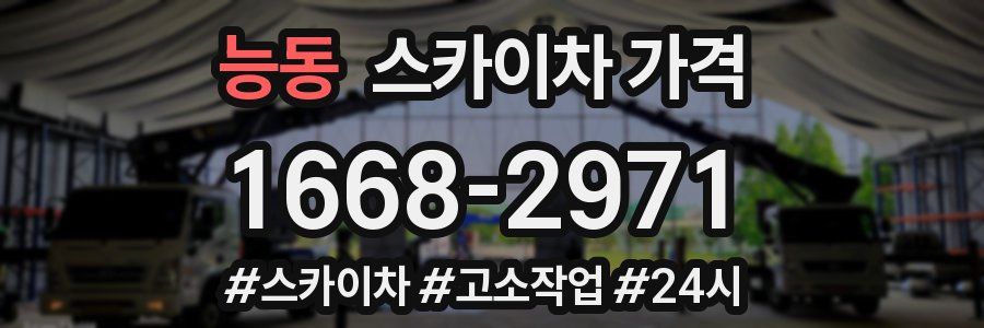 능동 스카이차 가격